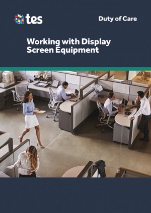 Working with Display Screen Equipment